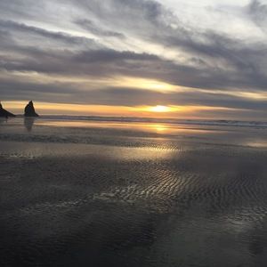 Meet your Posher, Siena